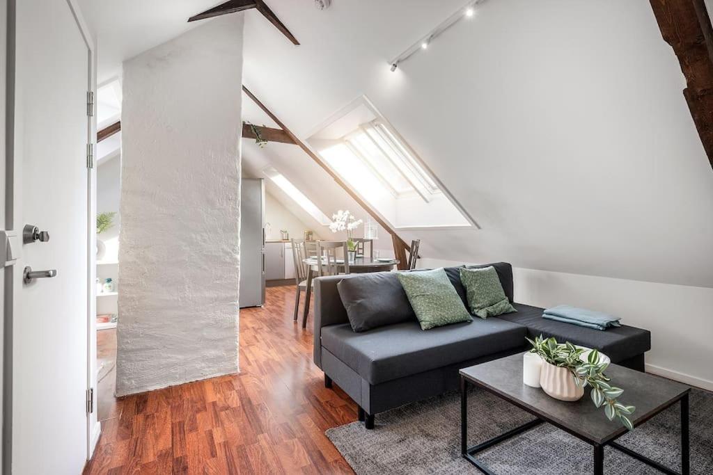 Apt. Close To Centre Trondheim